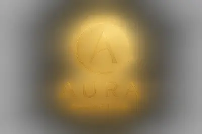 logo design