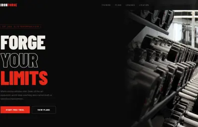صفحة هبوط (Landing Page) احترافية