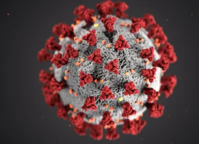 Data Analyst | Python Data Analysis