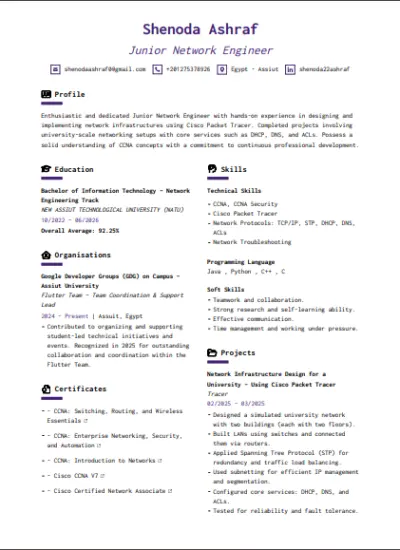 تصميم سيرة ذاتية (CV) احترافية