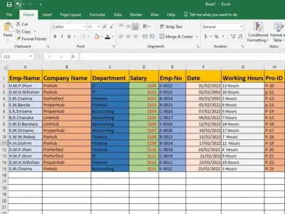 سأقوم بإدخال البيانات وتنظيمها باحترافية باستخدام Excel