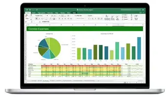 Microsoft Excel
