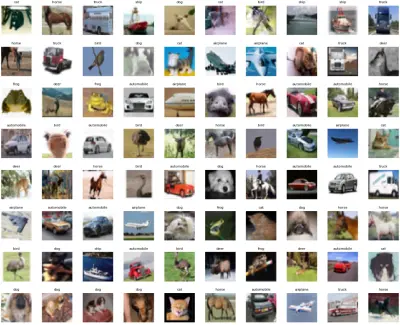 Animals Classification Using Computer vision