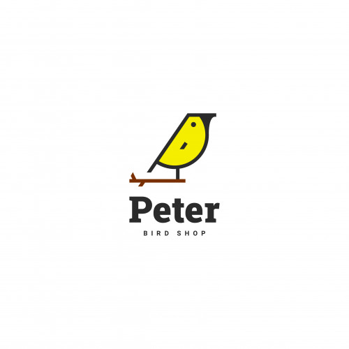 Peter logo & brand identity