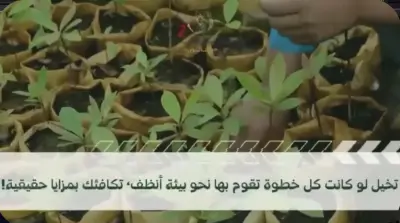 مشروع لتطبيق صحي