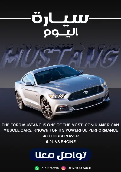 شبين الكوم الجديده