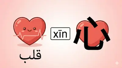 تبسيط الرموز المعنوية بالربط البصري (رمز القلب)