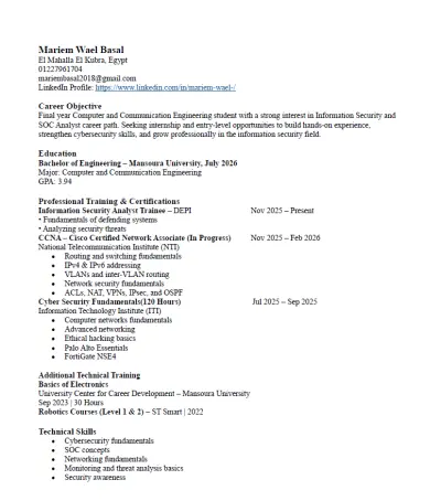 كتابة وتنسيق سيرة ذاتية (CV) احترافية