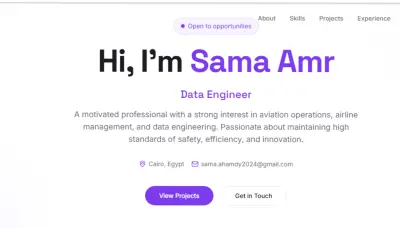 صفحة بروتوفوليو