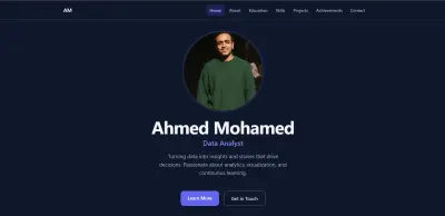 professional portfolio