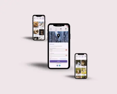 تطبيق باستخدام flutter