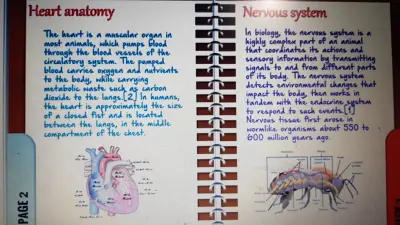عروض تقديمية على power point