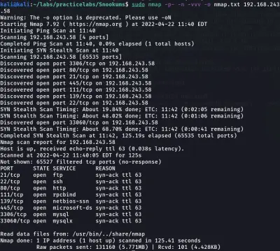 Real Network Security Scan using Nmap (Port Analysis)