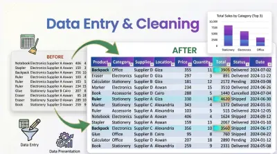 صورة العمل إدخال وتنظيم البيانات على Excel باحترافية وسرعة