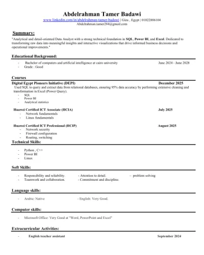 create a professional CV