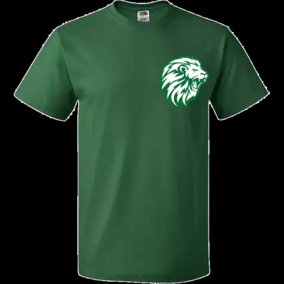 مصر أسوان كوم امبو