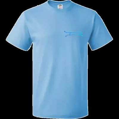 مصر أسوان كوم امبو