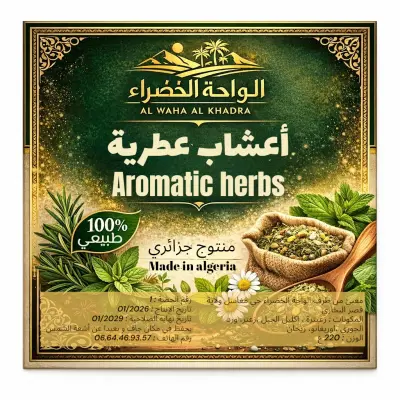 خبير في برمجيات الاعلام الالي