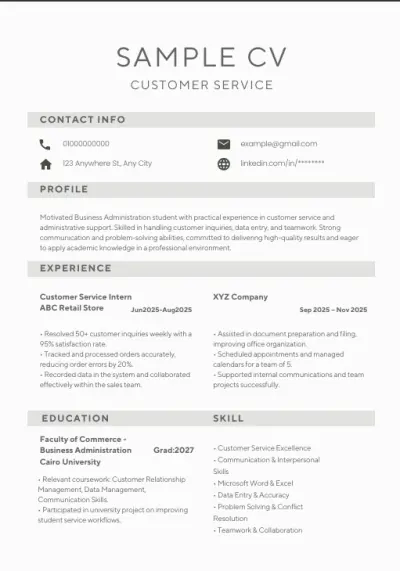 Business CV Design