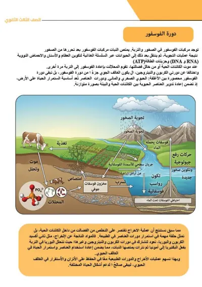 تصميم كتب ومجالات وبرتفوليو