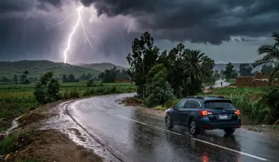 تدقيق لغوي لقصة للأطفال وإنشاء صور لهذه القصة.