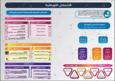 تصميم انفوجرافيك احترافي