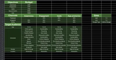 إعداد Media Buying Plan