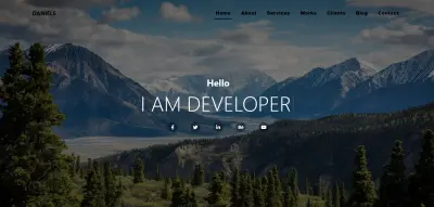 Portfolio project