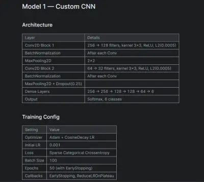 Intel Image Classification(CNN & Transfer Learning)