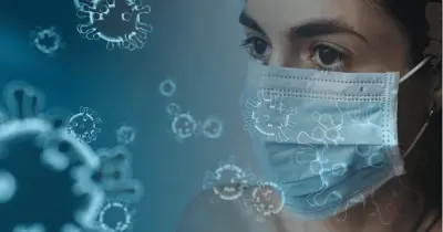 نظام الكشف عن الإصابة بفيروس كورونا باستخدام الشبكات العصبية الالتفافية (CNN)