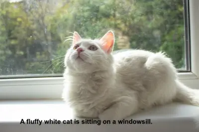 تطوير تطبيق ويب بالذكاء الاصطناعي لوصف الصور تلقائيًا (AI Image Captioning Web App)