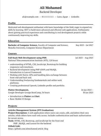 Professional Resume (ATS Optimized)