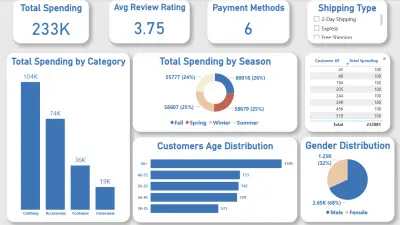 Customer Shopping Behavior Analysis