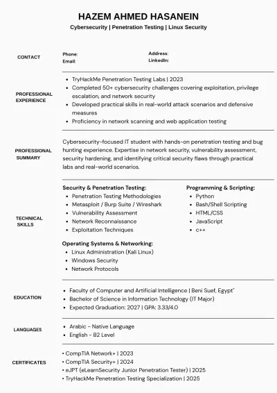 تصميم cv احترافي