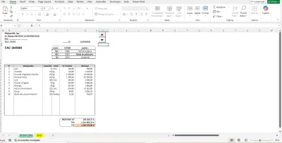 نموذج فواتير احترافي ومؤتمت لإدارة المبيعات (Excel Facturation)