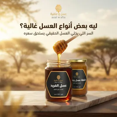 مصمم اجرافيك