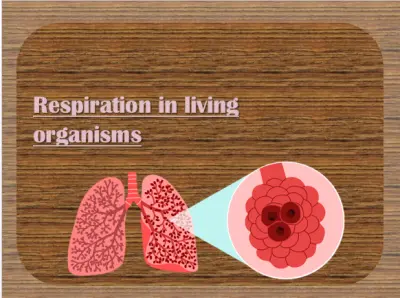 presentation of Respiration in living organisms