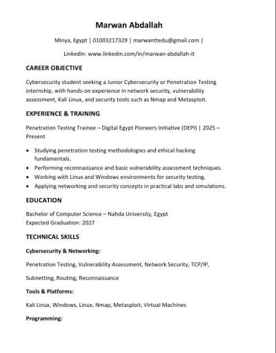 Professional CV Design for Job Applications