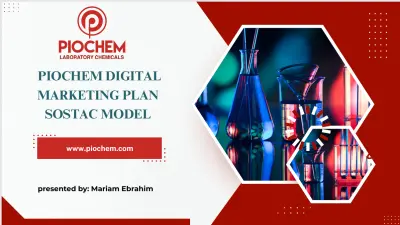 B2B Digital Marketing Strategy plan for Chemical Company