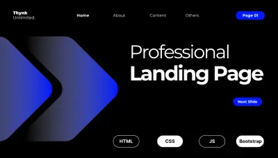 Professional Landing Page