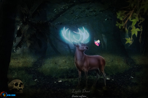 The light Deer