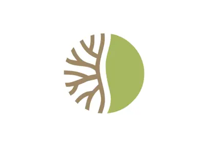 Sol Root — تصميم شعار لعلامة منتجات فلسطينية تراثية