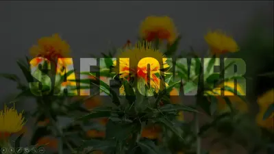 تصميم عرض PowerPoint احترافي لمشروع أكاديمي باستخدام Morph Transition