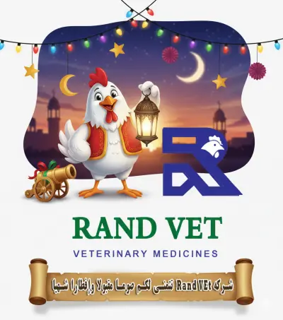 وكالة روح للدعاية والاعلان