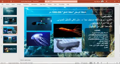تصميم عروض PowerPoint احترافية وجذابة جاهزة للتقديم