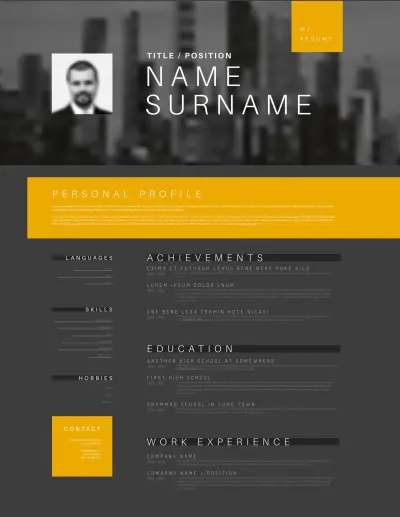 Professional CV for Software Developer | ATS-Friendly