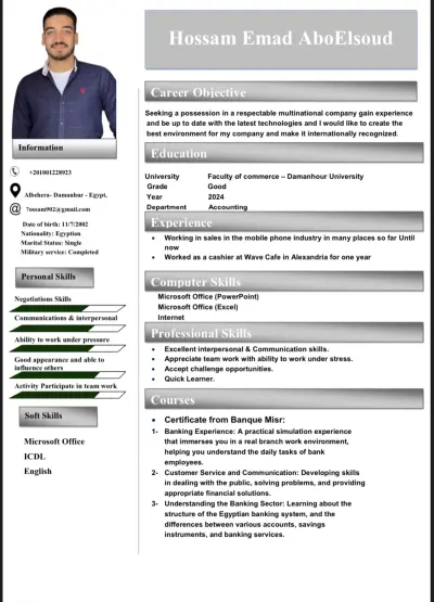 Cv احترافي