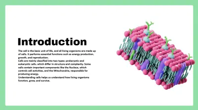 Presentation