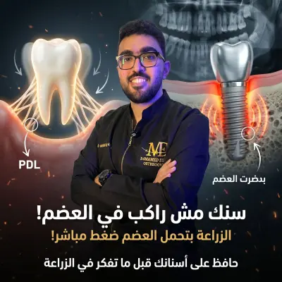 جزء بسيط من شغلي اتمني ينال اعجب خضرتك
