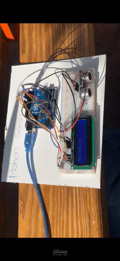 Motion sensor detector